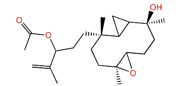 Pacificin M